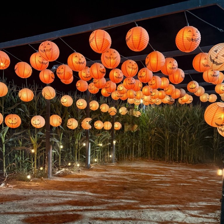 Jack-o-lantern Light Tunnel
