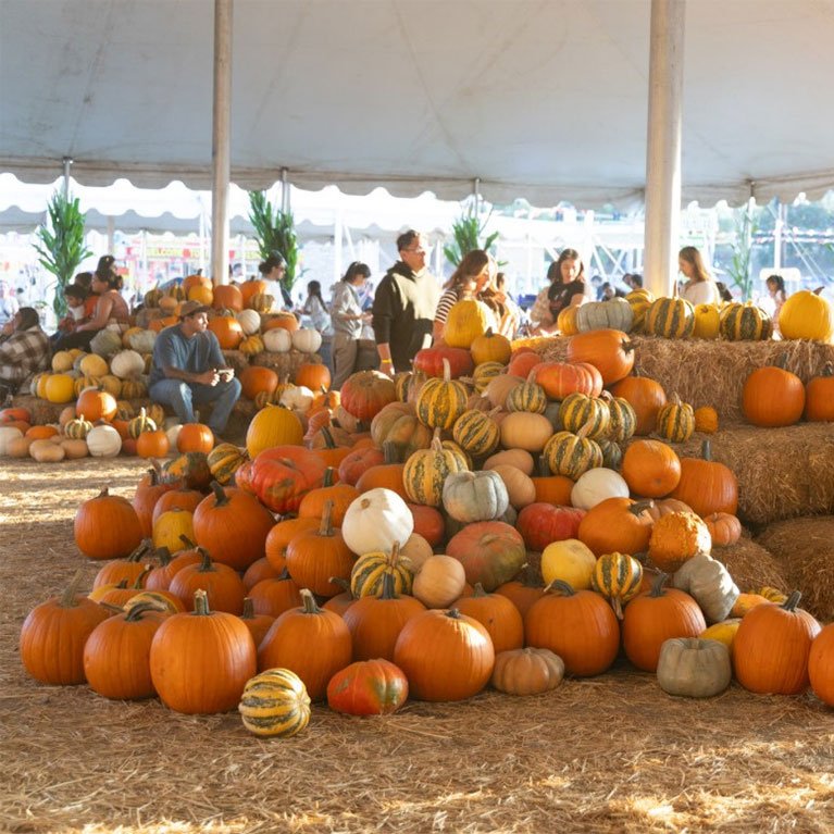 Pumpkin Store
