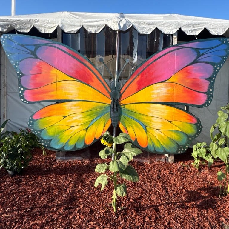 Butterfly Encounter
